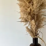 Farma Les De Lisa Maria