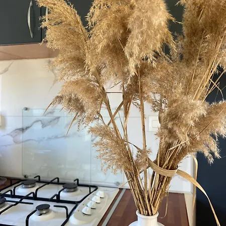 Lantgård Les De Lisa Maria *