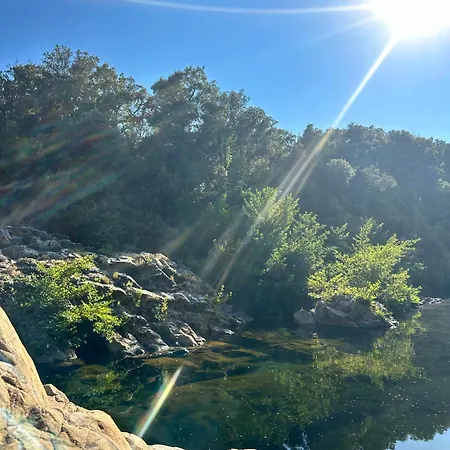 Les De Lisa Maria Lantgård *