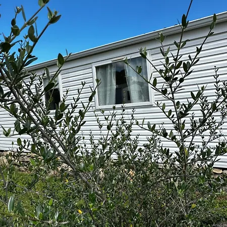 Lantgård Les De Lisa Maria Serra-di-Fiumorbo