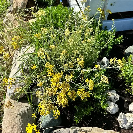 Gospodarstwo agroturystyczne Les De Lisa Maria *