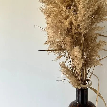 Gospodarstwo agroturystyczne Les De Lisa Maria