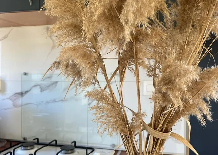 팜스테이 Les De Lisa Maria *