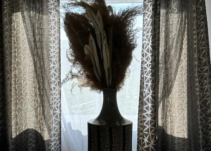 Les De Lisa Maria * Serra-di-Fiumorbo