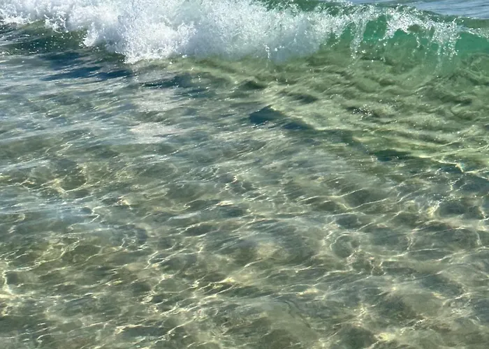 Les De Lisa Maria ファームステイ