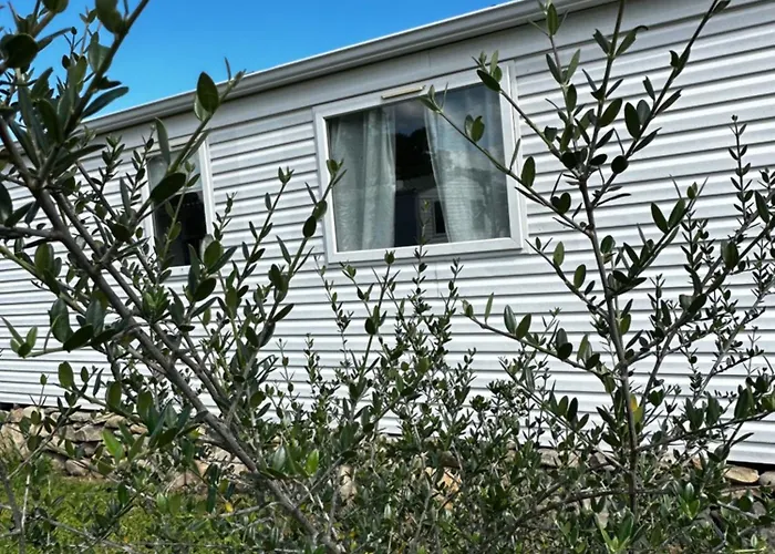 팜스테이 Les De Lisa Maria Serra-di-Fiumorbo