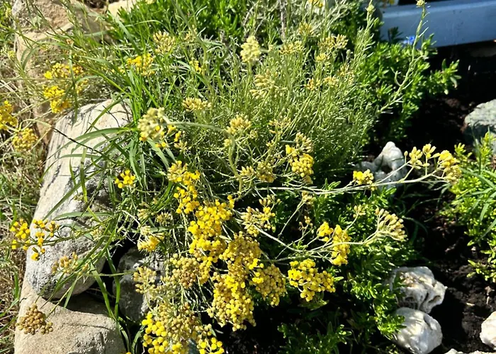 팜스테이 Les De Lisa Maria *