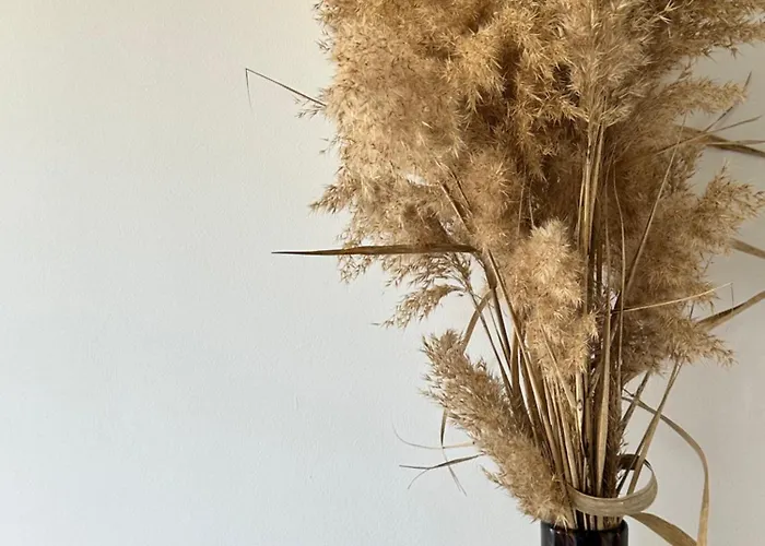 ファームステイ Les De Lisa Maria